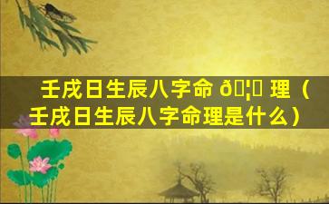 壬戌日生辰八字命 🦟 理（壬戌日生辰八字命理是什么）